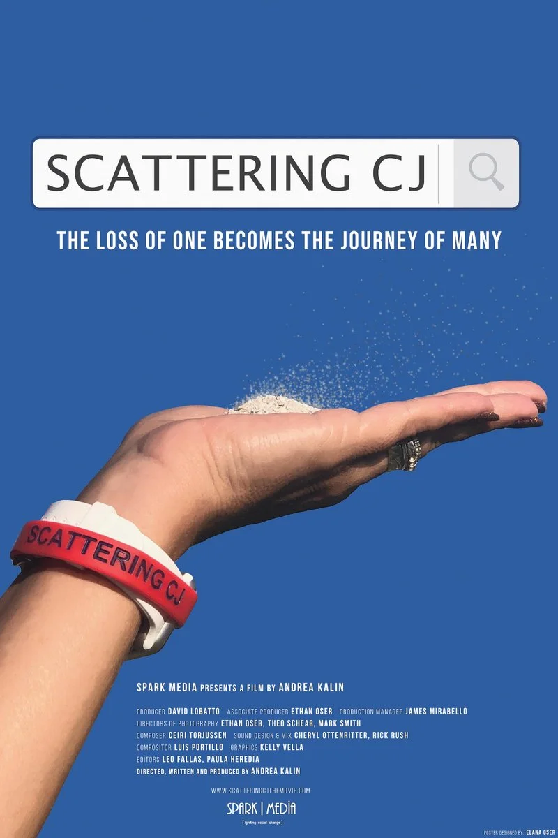 Affiche de Scattering CJ