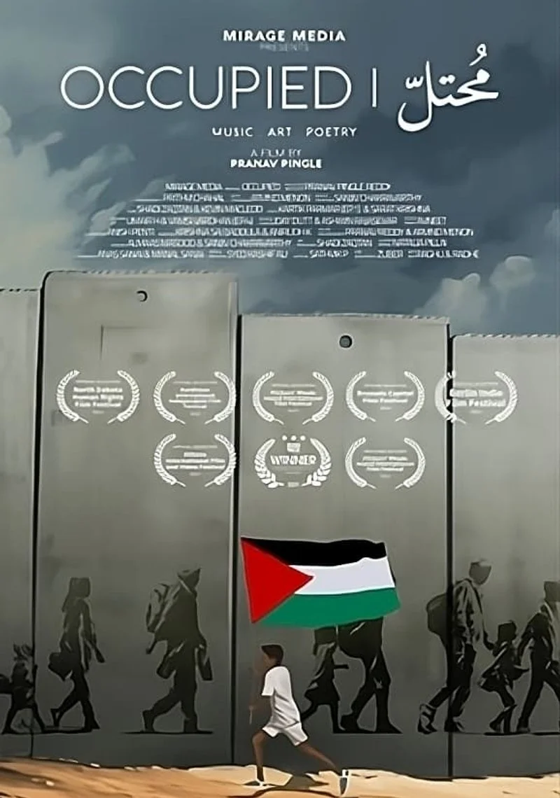 Affiche de Occupied