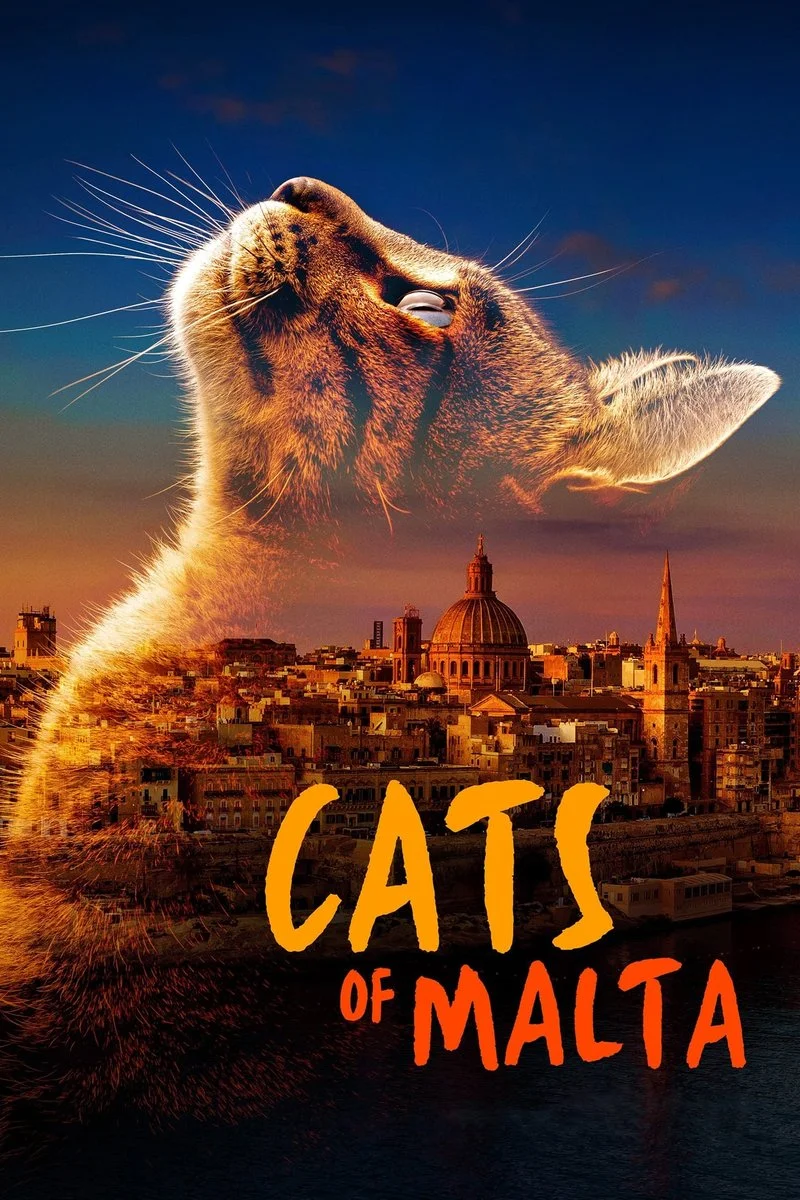 Affiche de Cats of Malta