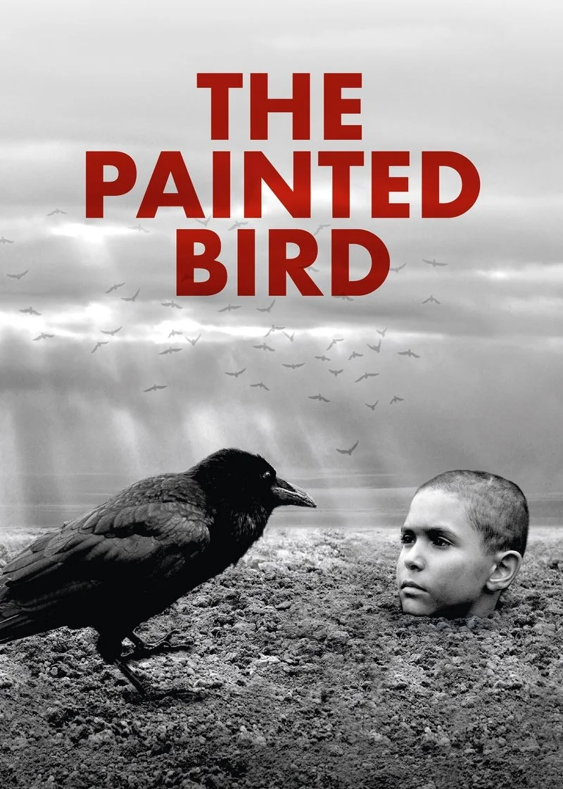 Affiche de The Painted Bird
