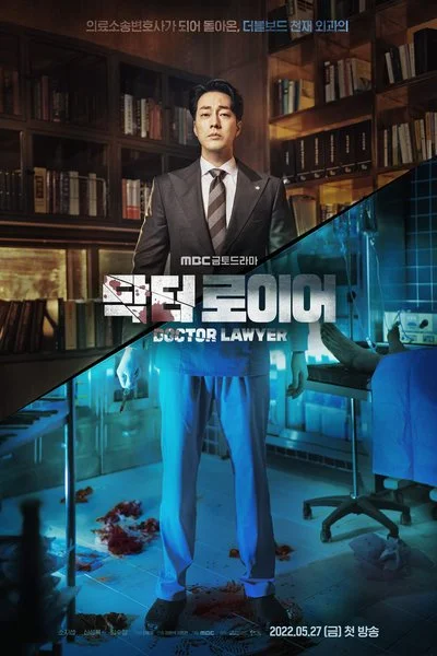 Poster Doctor Lawyer