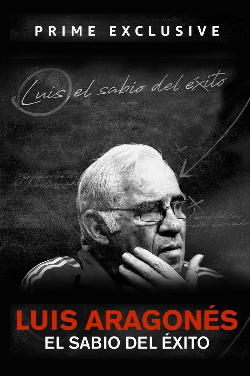 Affiche de Luis, el sabio del éxito