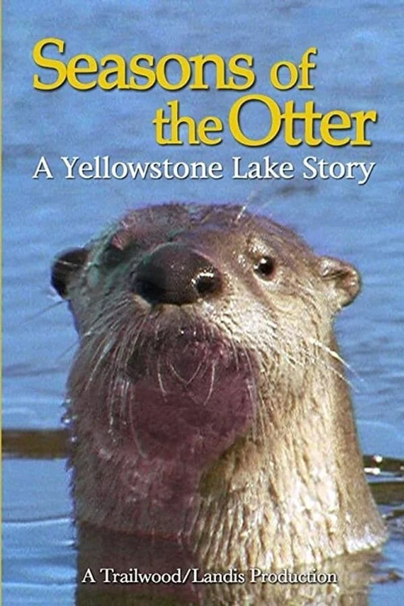 Poster van Seasons of the Otter