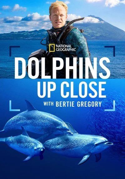 Poster Dolphins Up Close with Bertie Gregory