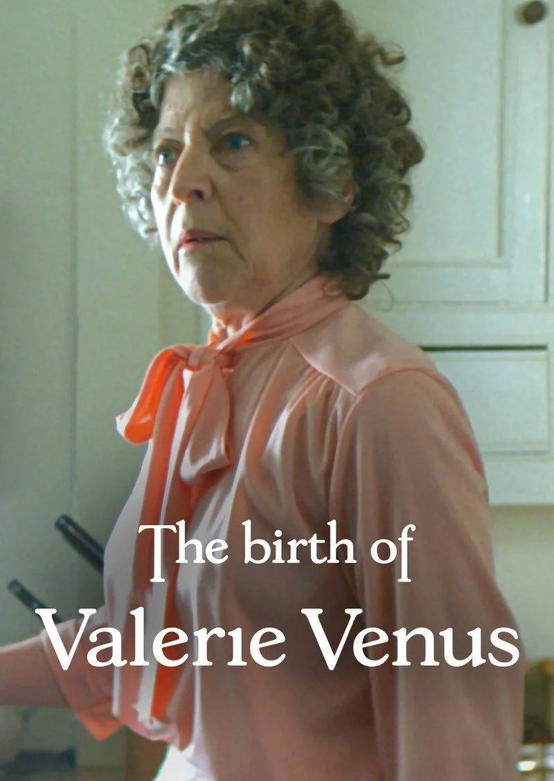 Poster van The Birth of Valerie Venus
