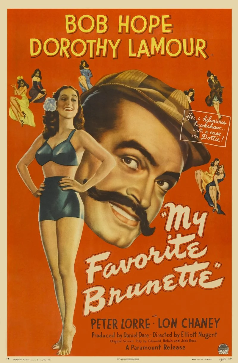 Affiche de La Brune de mes rêves ⁄ My Favorite Brunette