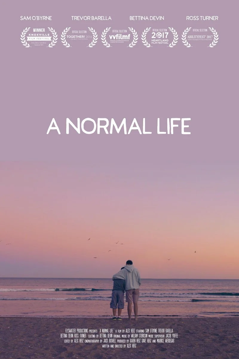 Affiche de A Normal Life