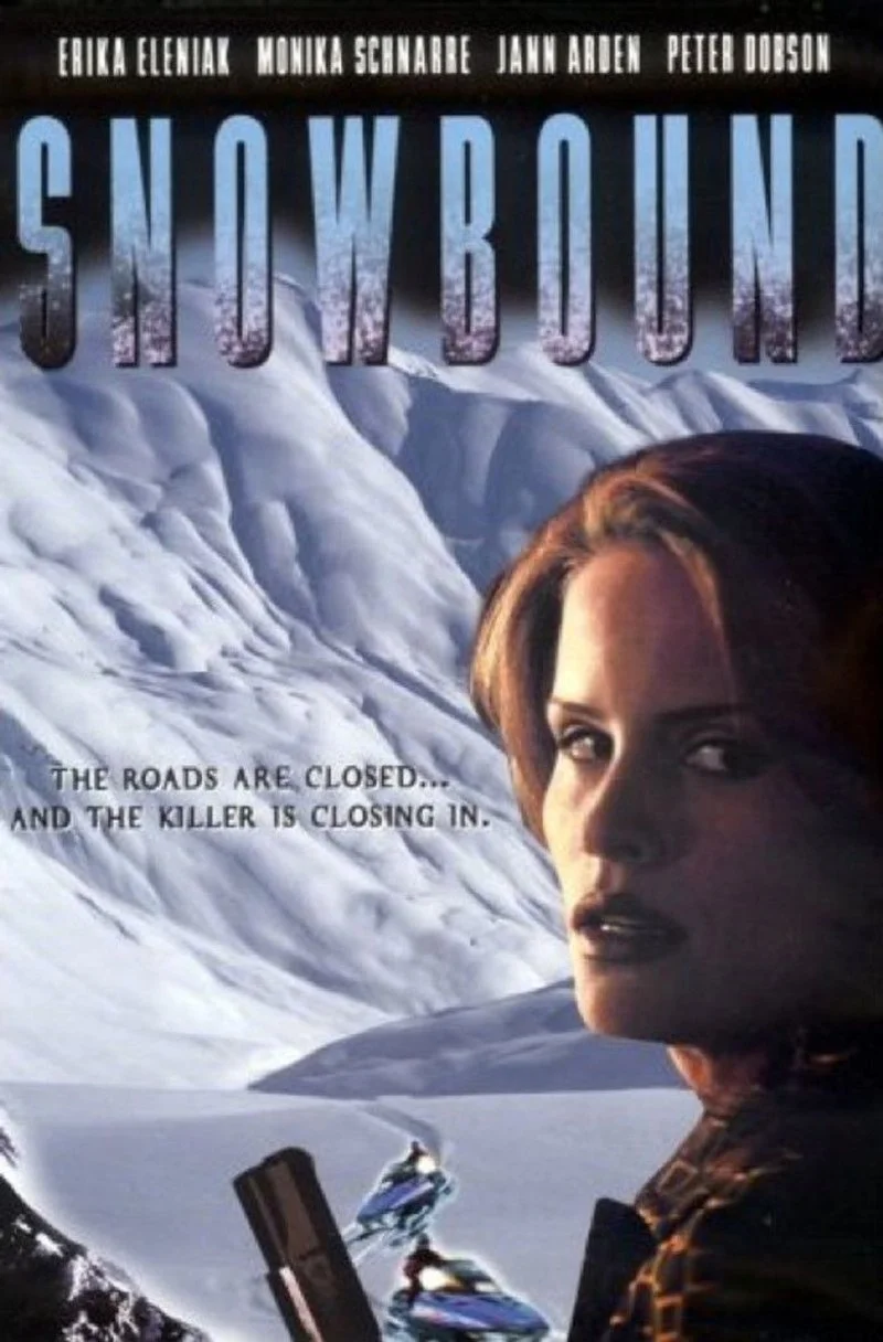 Affiche de Tempête de neige