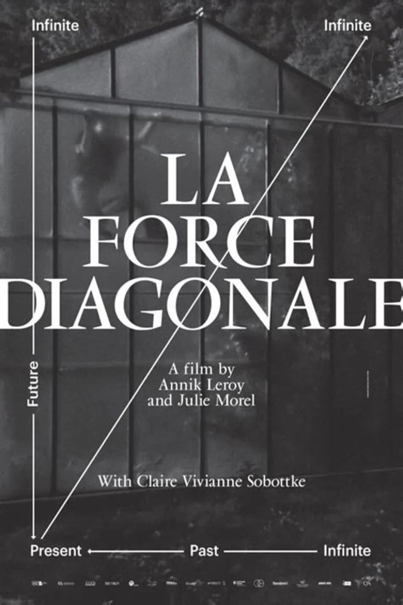 Poster van La force diagonale