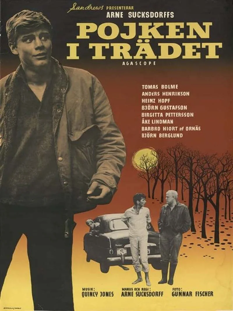 Poster van The Boy in the Tree