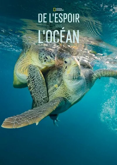 Affiche De l'espoir sous l'océan
