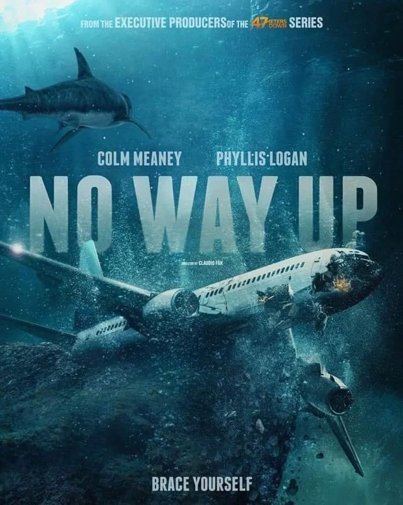 Poster van No Way Up