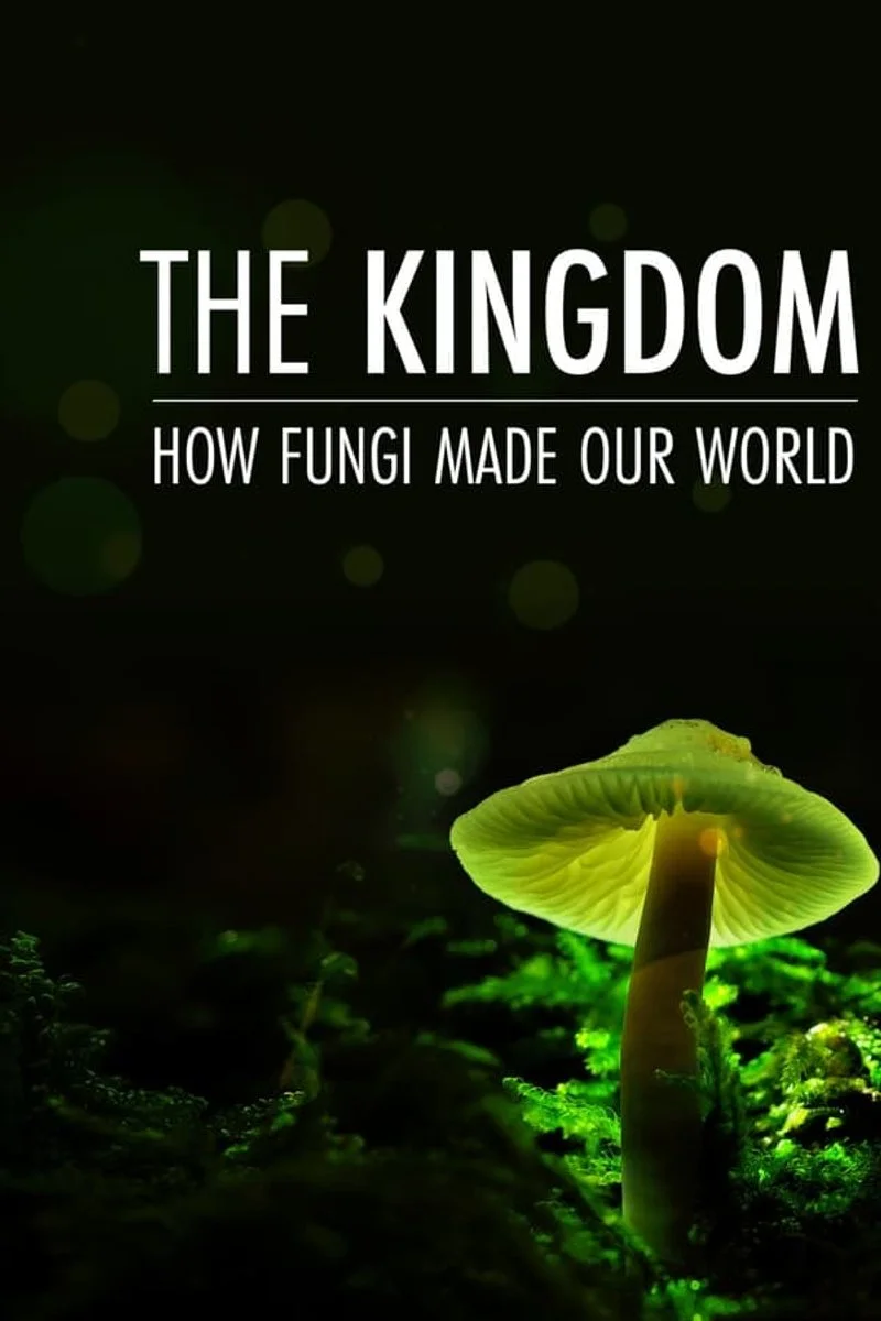 Affiche de The Kingdom: How Fungi Made Our World
