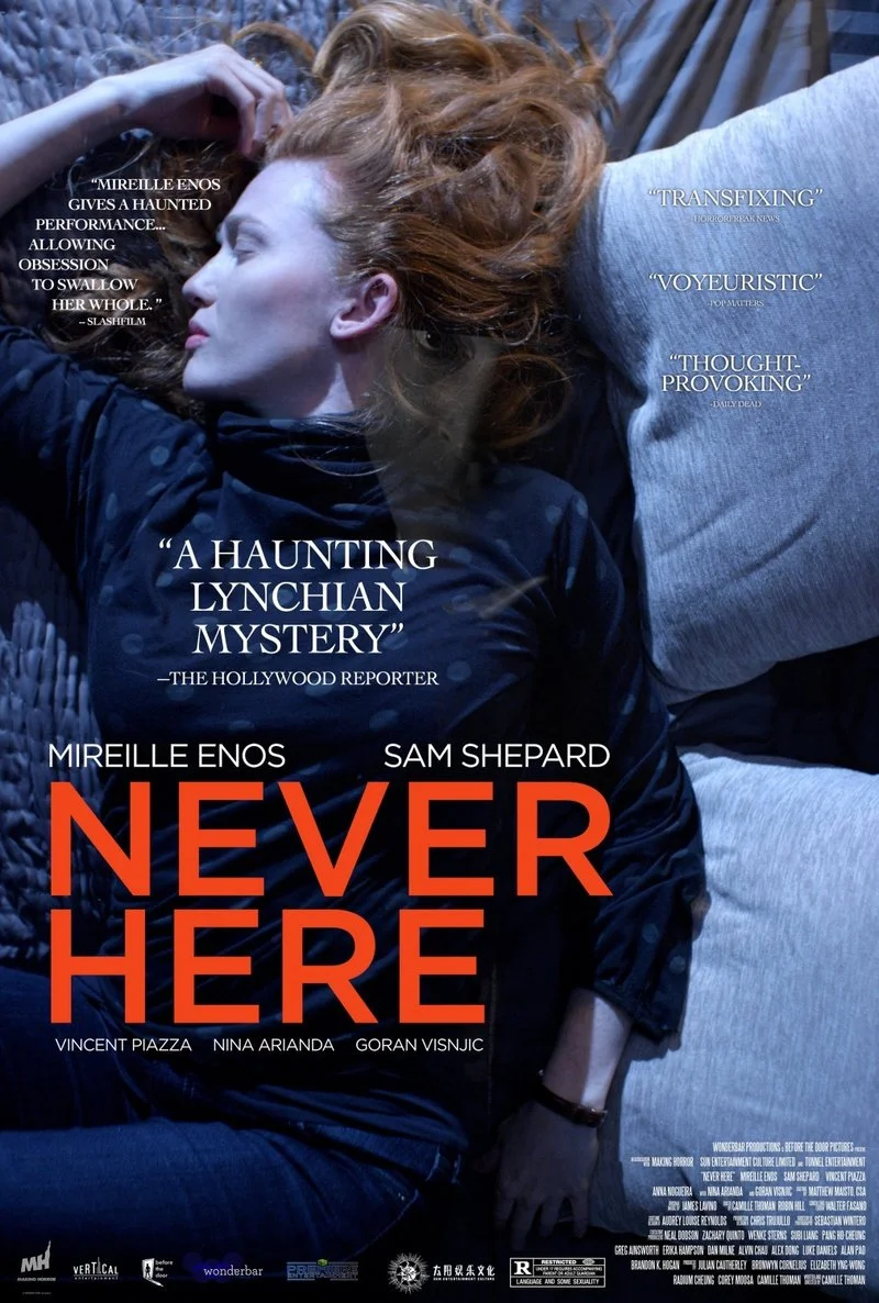 Affiche de Never Here