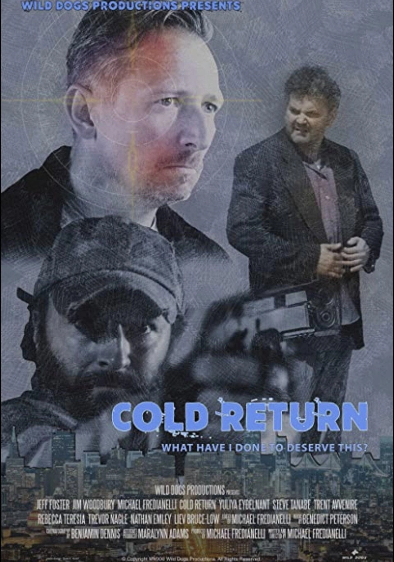 Affiche de Cold Return