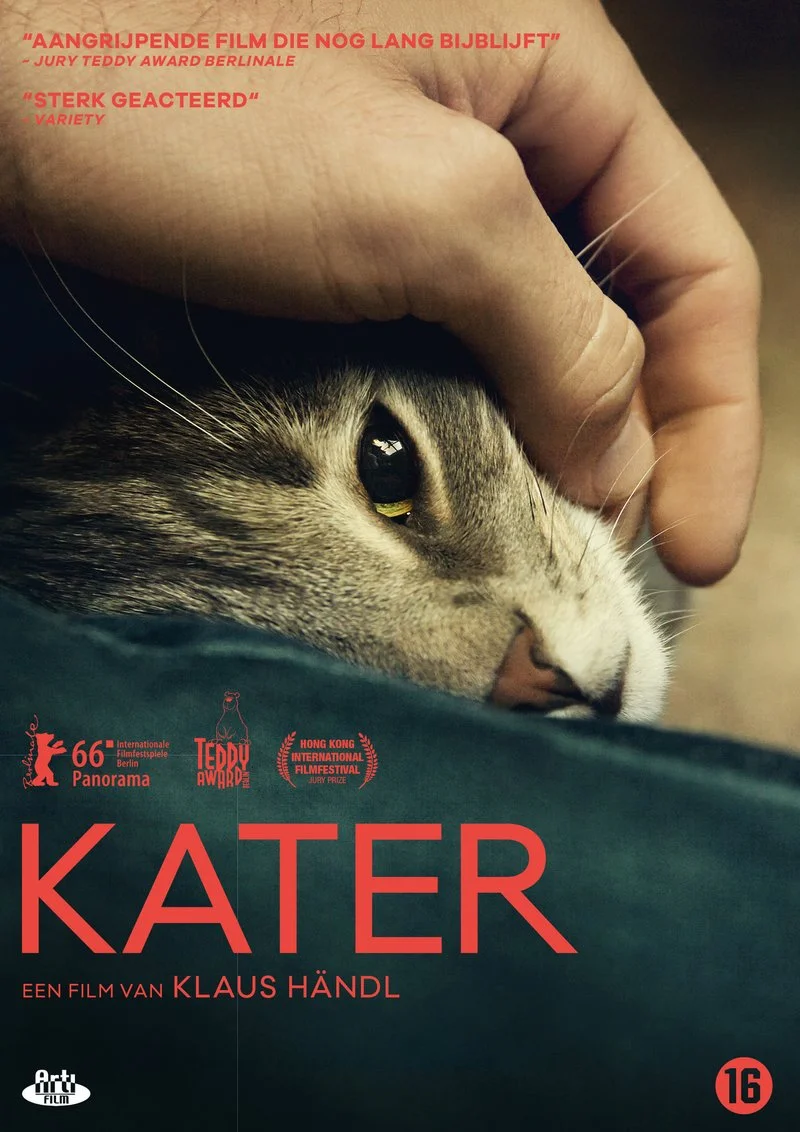 Poster van Kater