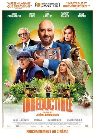 Affiche Irréductible
