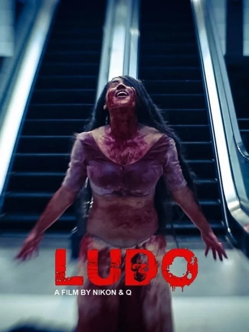 Poster van Ludo