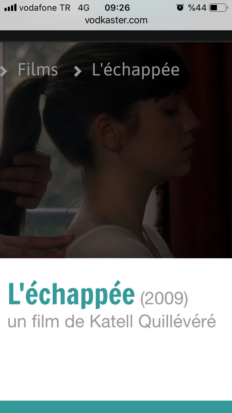 Affiche de L'échappée