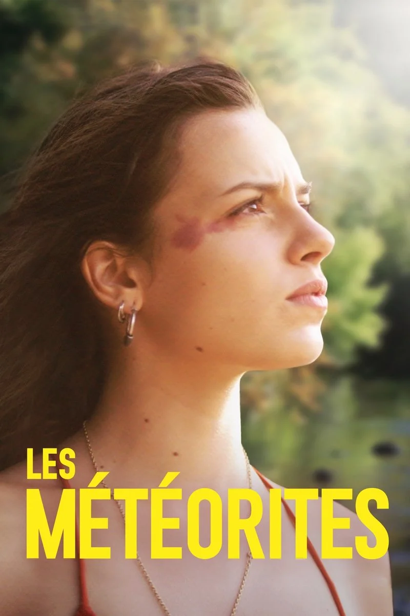 Poster van Meteorites