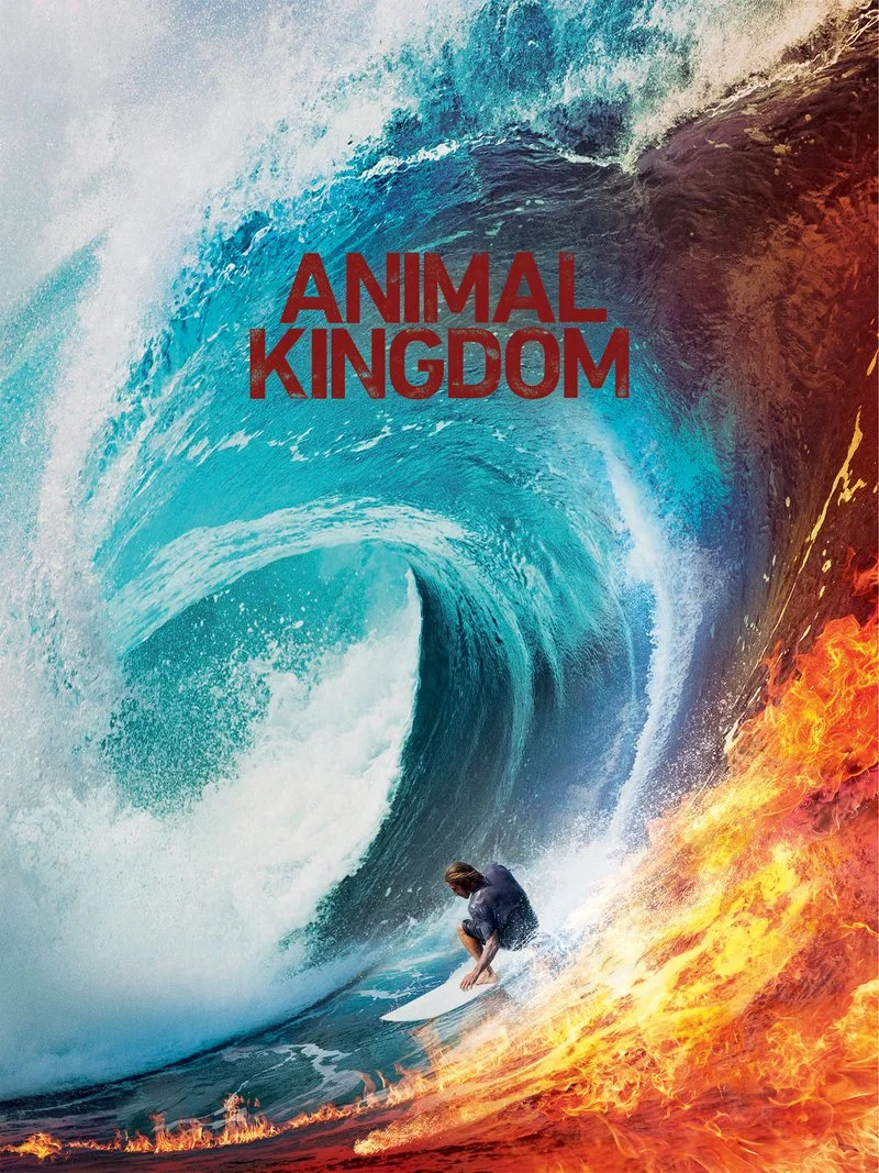Affiche de Animal Kingdom