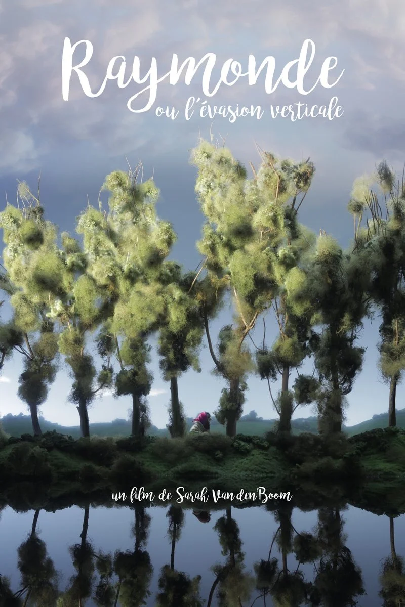Poster van Raymonde ou l'évasion verticale