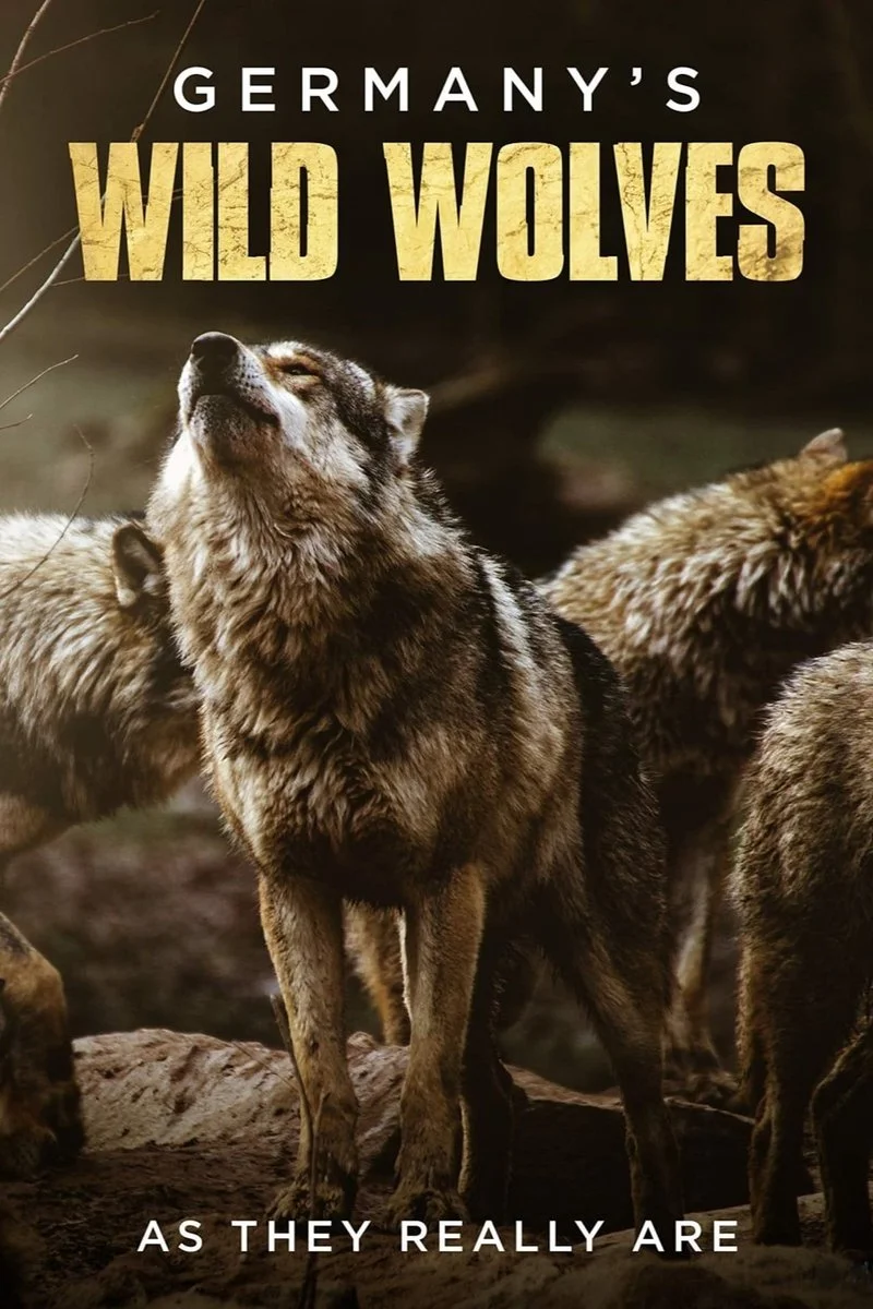 Poster van Germany's Wild Wolves - As They Really Are