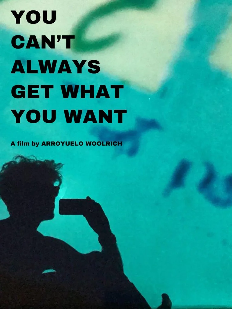 Poster van You Can't Always Get What You Want
