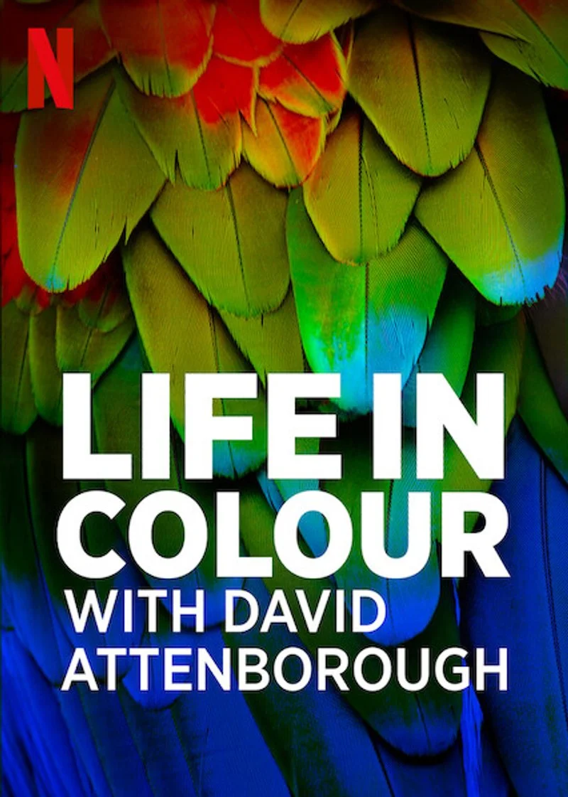 Affiche de La Vie en couleurs avec David Attenborough