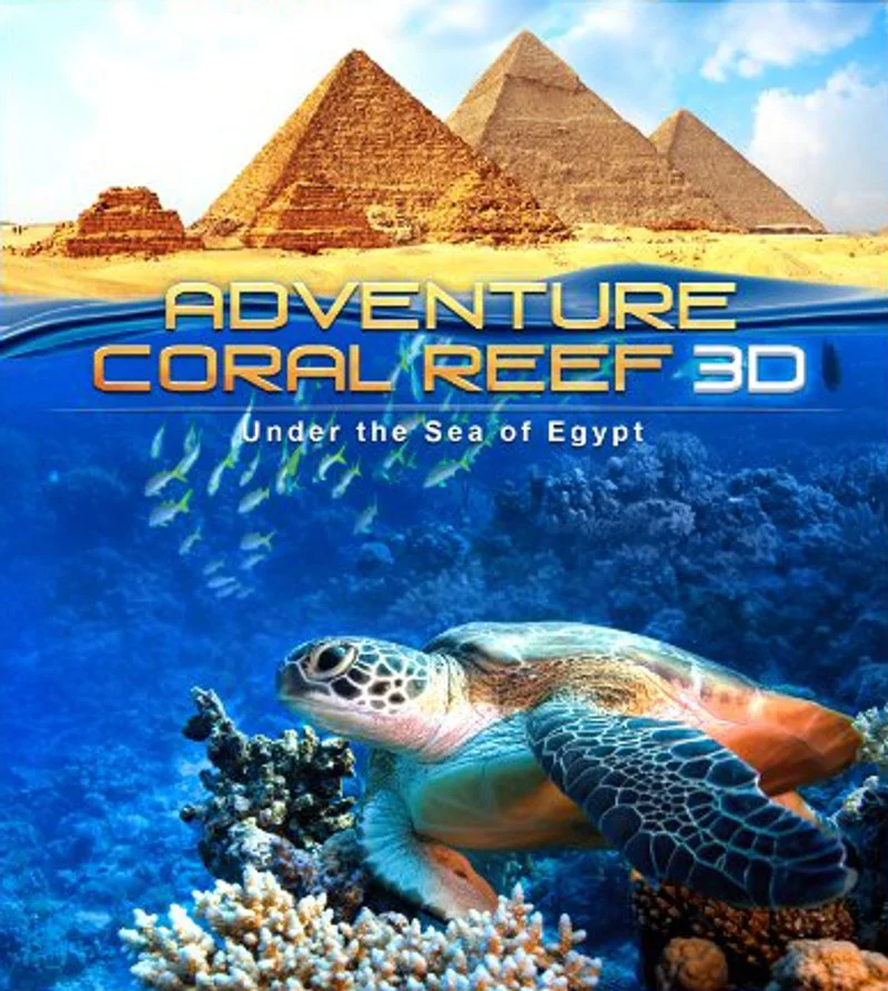 Affiche de Fascinant Triangle de corail