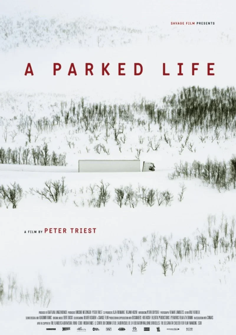 Poster van A Parked Life