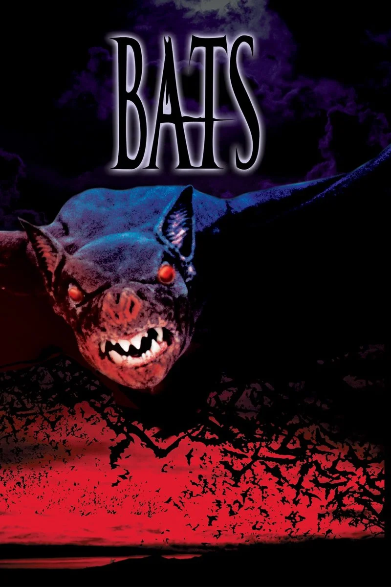 Affiche de La Nuit Des Chauve-Souris