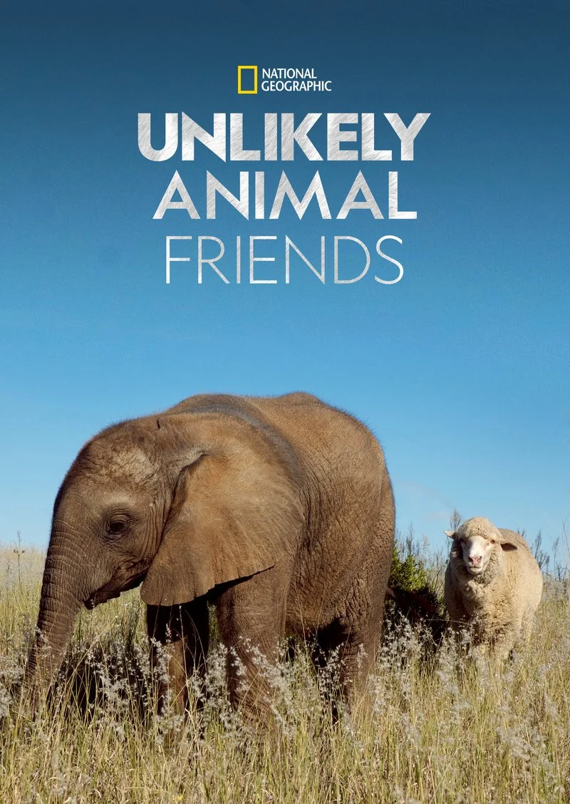 Poster van Unlikely Animal Friends