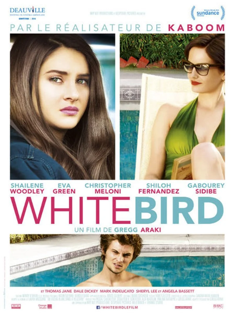 Affiche de White Bird in a Blizzard