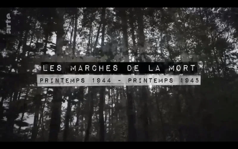 Affiche de Les marches de la mort - Printemps 1944-printemps 1945