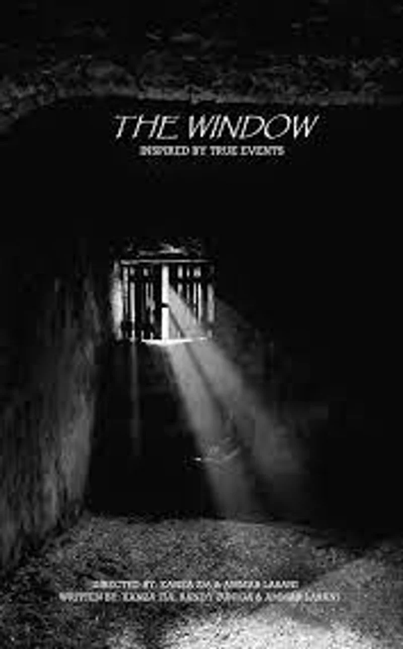 Affiche de The Window