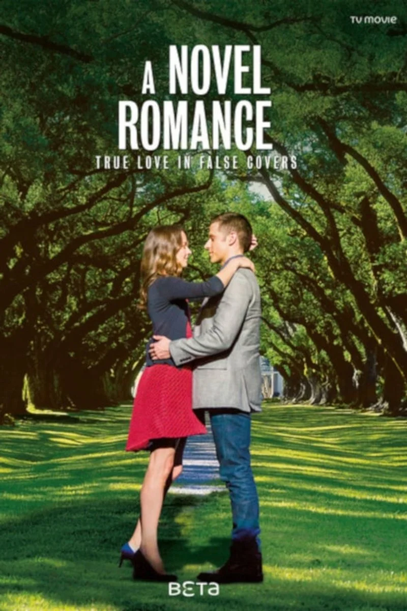 Affiche de A Novel Romance