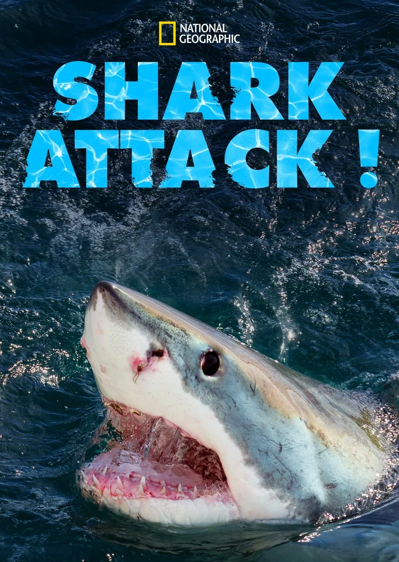 Affiche de Shark Attack !