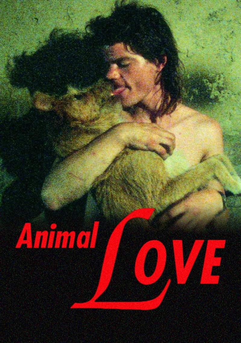 Affiche de Animal Love