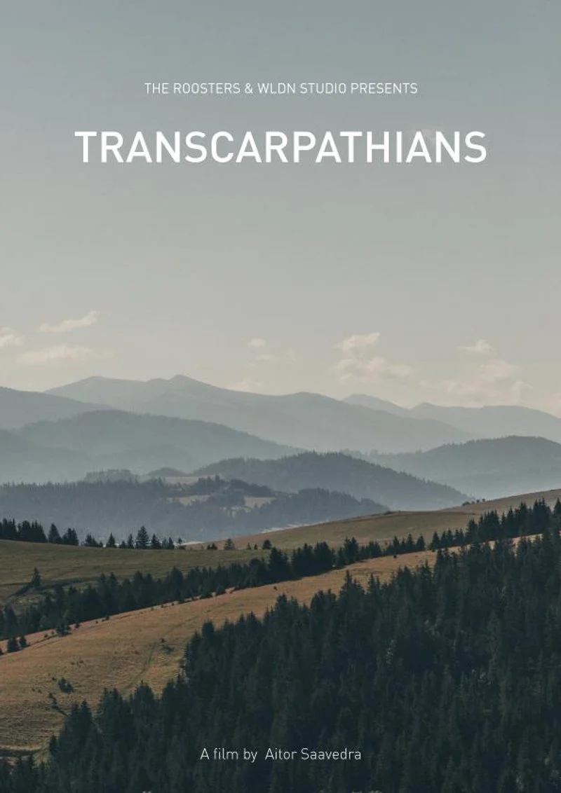 Affiche de Transcarpathians
