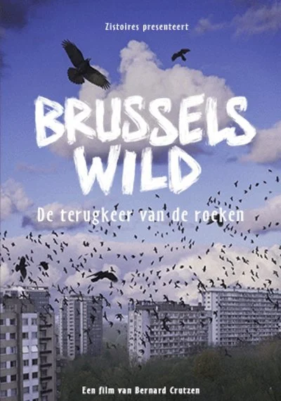 Affiche Bruxelles Sauvage - Le retour des corbeaux