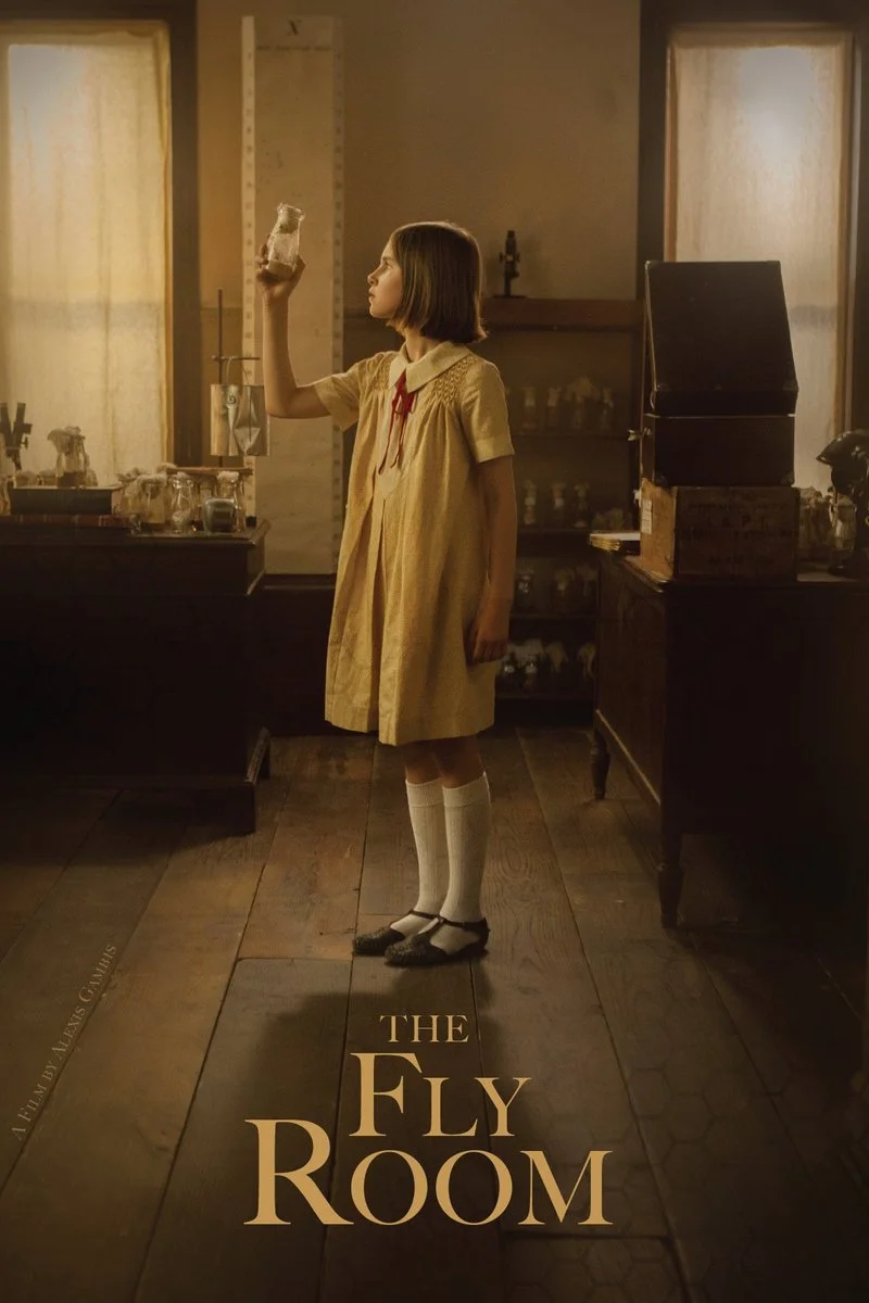 Poster van The Fly Room