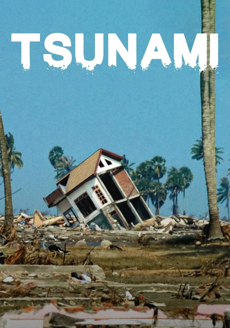 Poster van Tsunami