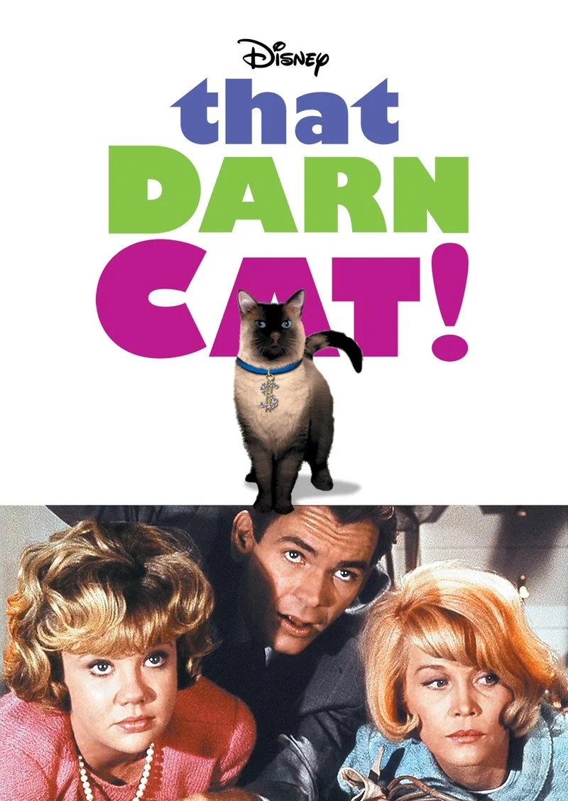 Poster van That Darn Cat!
