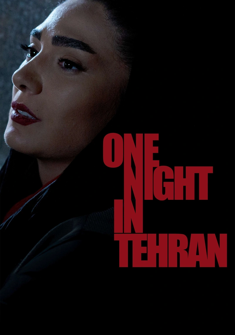 Affiche de One Night in Tehran