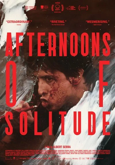 Affiche Afternoons of Solitude