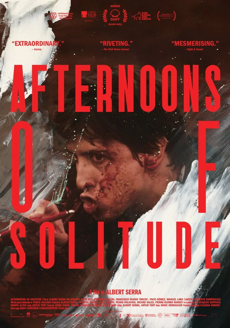 Affiche de Afternoons of Solitude
