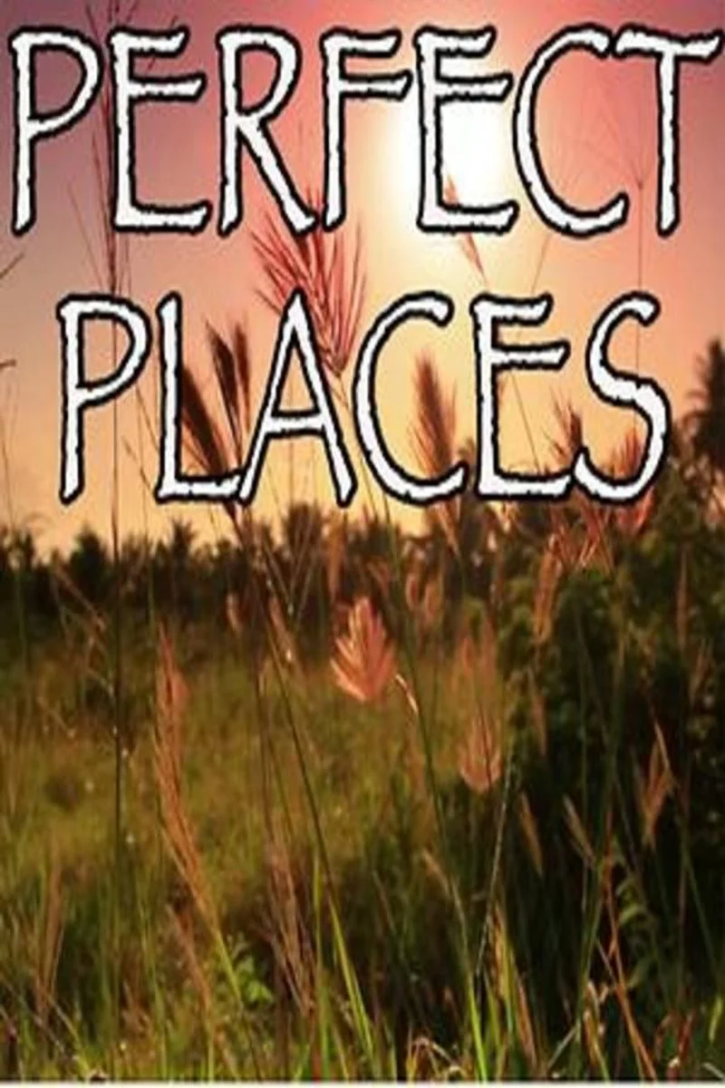 Affiche de Perfect Places