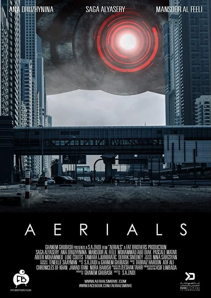 Poster van Aerials