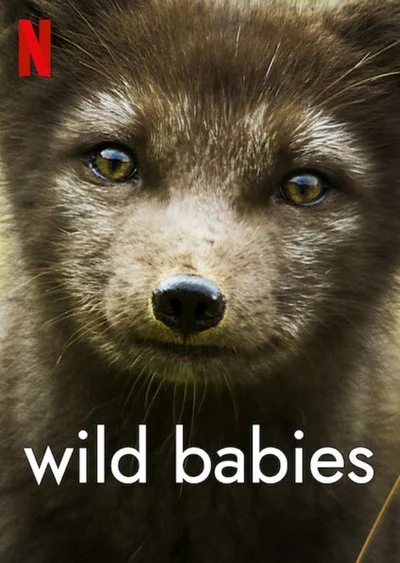 Poster Wild Babies